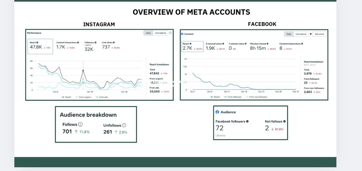 Social Media Marketing, Campaign & Strategy - Image 1